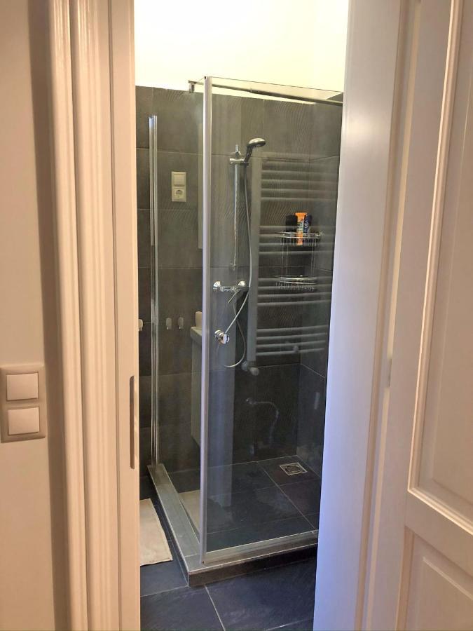 Modern Comfort In Historical Budapest Luaran gambar