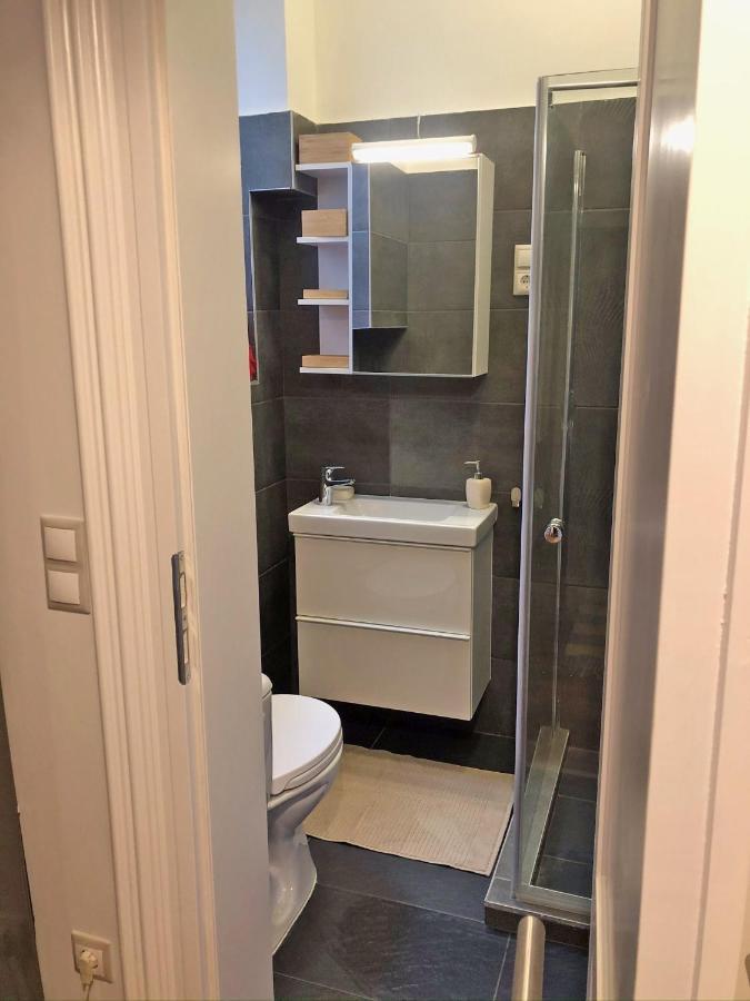 Modern Comfort In Historical Budapest Luaran gambar